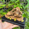 TRẦM HƯƠNG VN- DI LẶC KÉO BAO TIỀN - anh 2