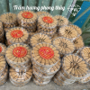 Nụ Trầm Hương VN - Hộp 100gram 60 nụ - cao 4cm - anh 2
